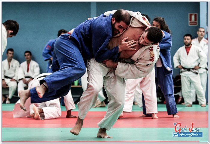 STAGE JUDO MADRID 14 00115